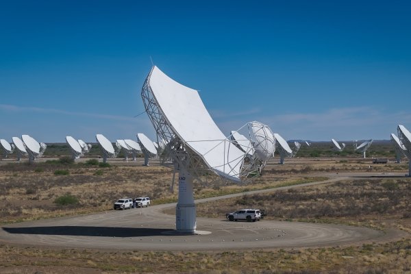 Overzichtsfoto van radiotelescopen opgesteld in Zuid-Afrika