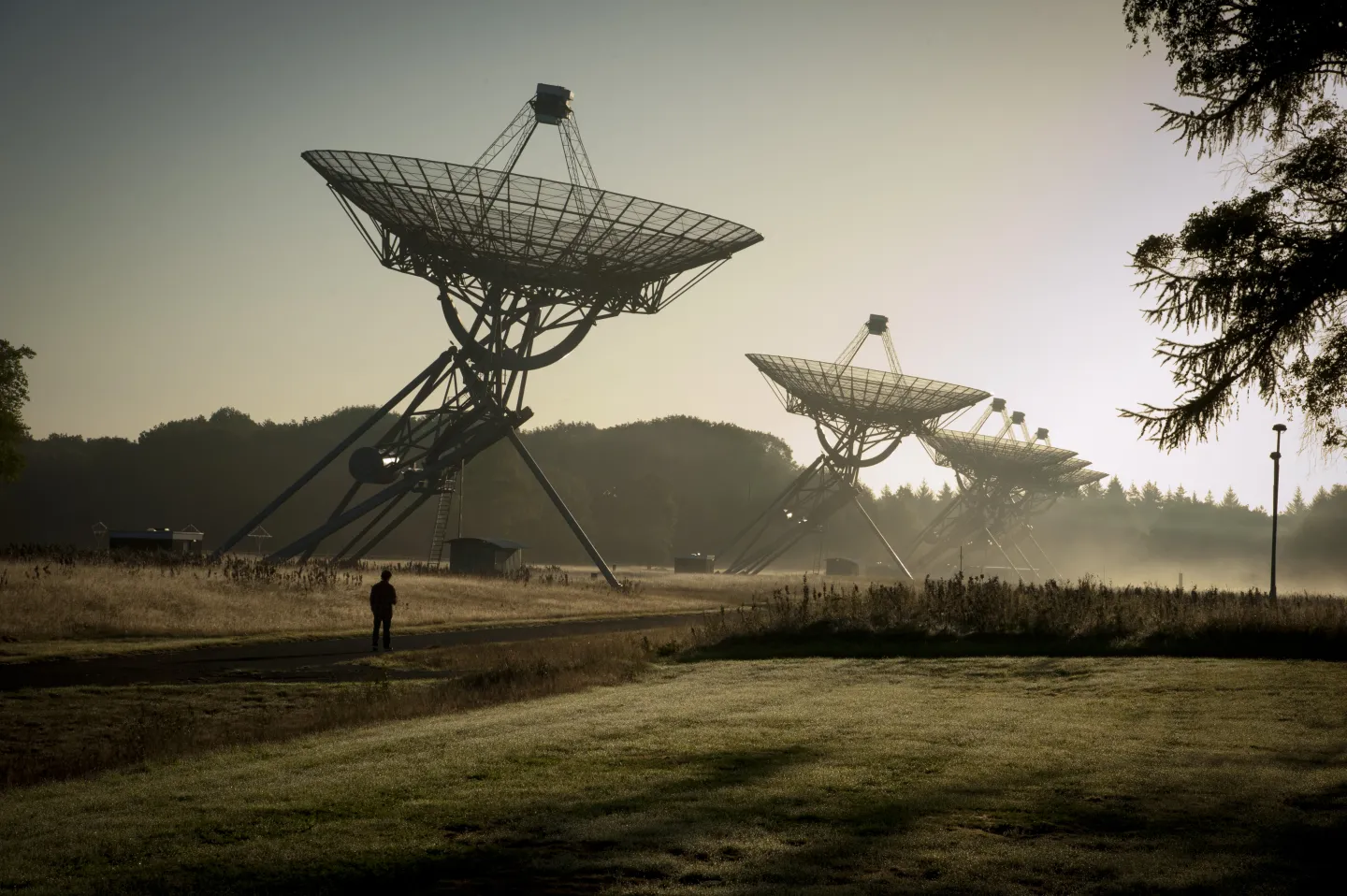 Radiotelescopen op een rij