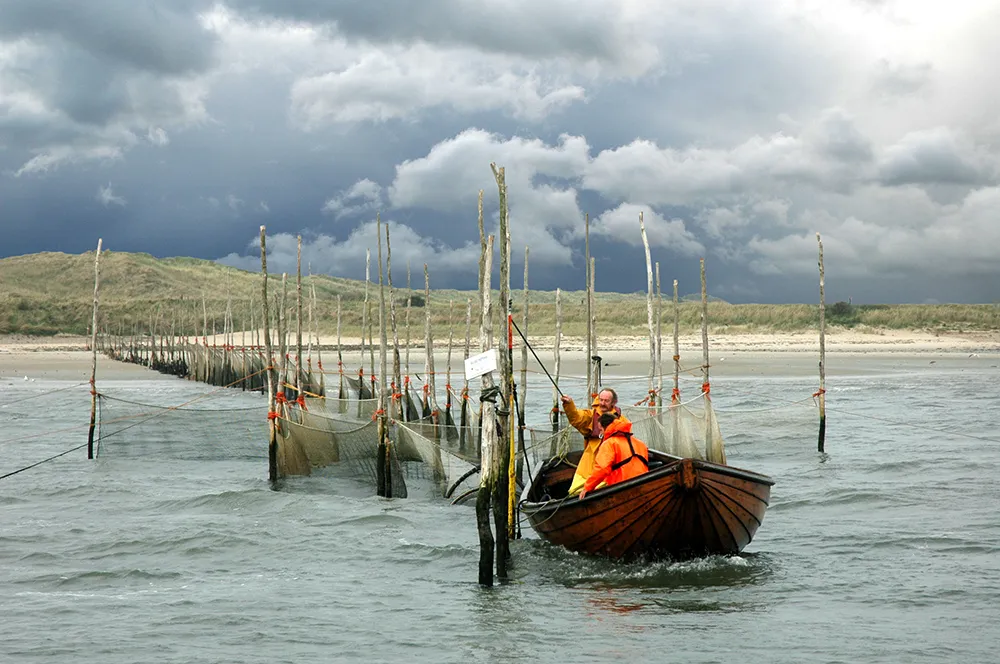 Onderzoekers van NIOZ zitten samen in een bootje en werken aan netten die vlak aan de kust in het water gespannen staan